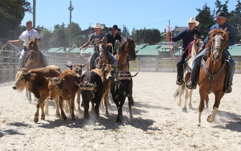 Ranch Cutting