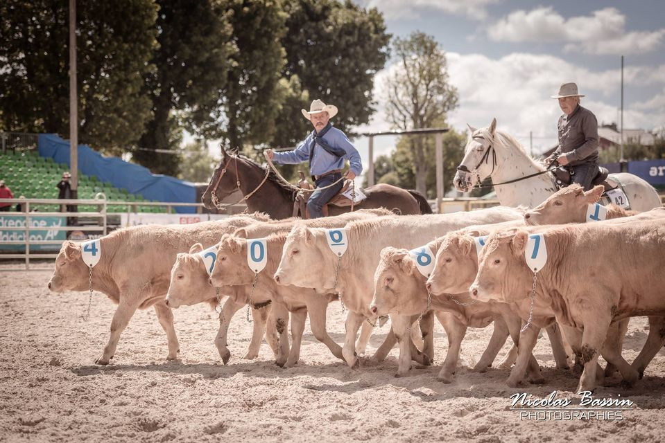 Ranch Sorting